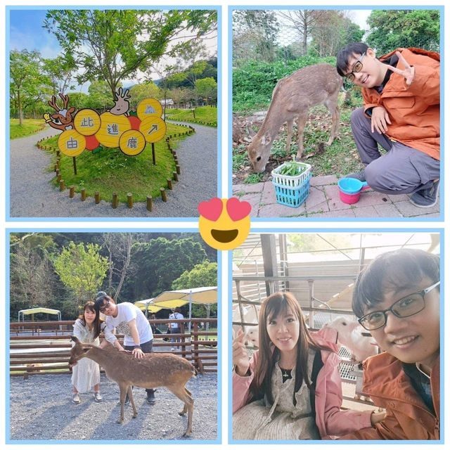斑比山丘⛰️小鹿斑比的Wonderland🦌