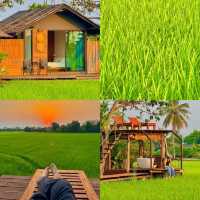 ที่พักกลางทุ่งนา #เชียงใหม่ ฟีลโคตรดี 🏠🛁🌾