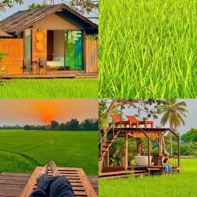 ที่พักกลางทุ่งนา #เชียงใหม่ ฟีลโคตรดี 🏠🛁🌾