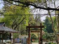 Fuxing Park: A Hidden Gem of Tranquility