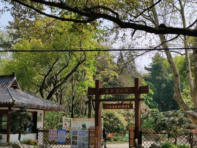 Fuxing Park: A Hidden Gem of Tranquility