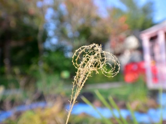 享受自然 . 大埔海濱公園