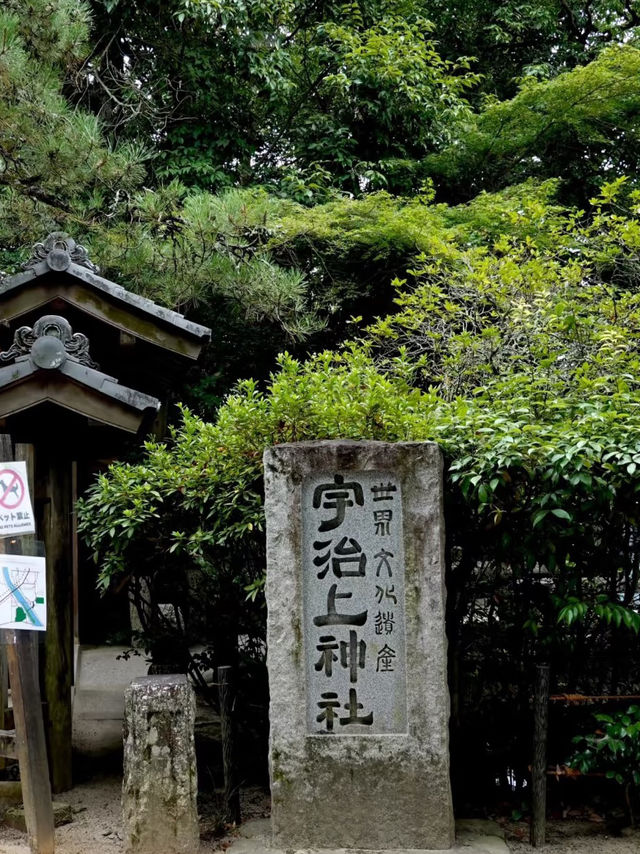 🇯🇵 宇治半日観光｜完全ガイド 🌿✨