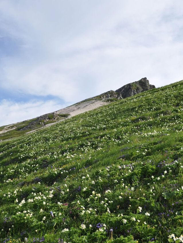 Mt. Shiroma Hike