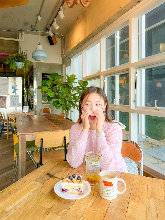 광안리 오션뷰카페 워킹홀리데이