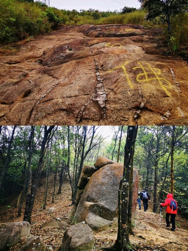 深圳打鼓嶂千島湖• 馬巒山•鵝公髻三山連走