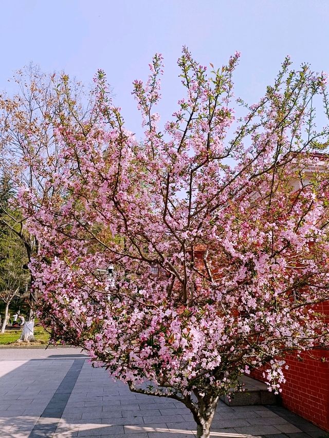 首義廣場