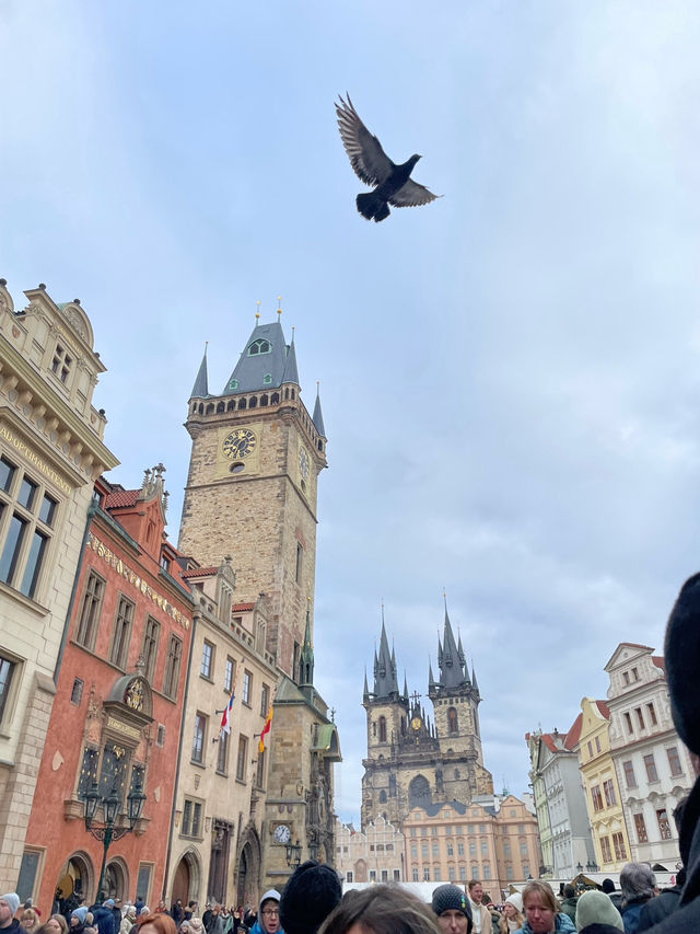 プラハのオススメ紹介🇨🇿