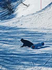 เล่นสกี ที่ Gala Yuzawa 