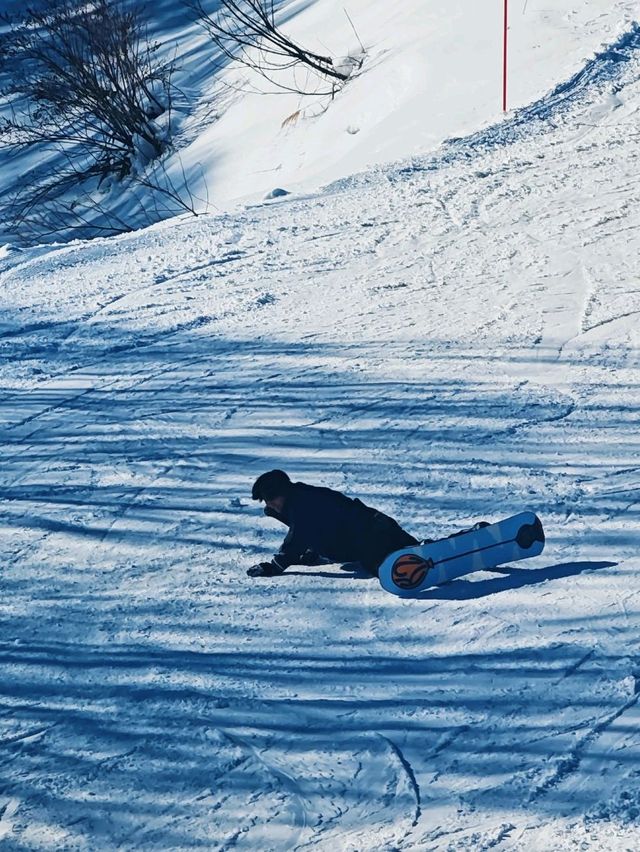 เล่นสกี ที่ Gala Yuzawa 