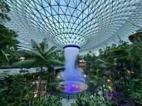 One Day in Singapore: Waterfalls, Lights & Futuristic Gardens