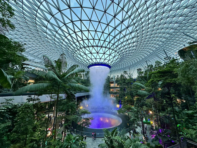 One Day in Singapore: Waterfalls, Lights & Futuristic Gardens