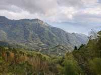 雲林古坑景點-木馬古道看竹林