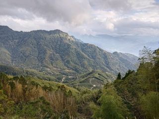 Yunlin Gukeng Scenic Spot - Muma Ancient Trail to See Bamboo Forest