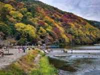 Arashiyama in Early Autumn: A Symphony of Colors and Serenity🎍🍂