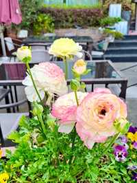 Spring Vibes at Thames Town, Songjiang Shanghai
