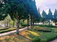 越南大叻市中心著名城市綠洲公園景點：Công Viên Trần Hưng Đạo，適合打卡拍照📸親子遊