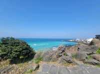 🌊 제주 감성 바다 산책 – 애월 한담공원