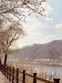 Daecheong Park: A Canvas of Fresh Greens and Floral First Strokes