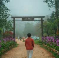 หลงรักบ้านอีต่อง หมู่บ้านแห่งสายหมอก💚🌨️