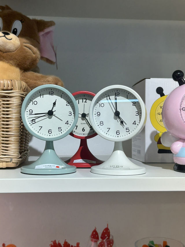 청주 성안길에서 만나는 감성 소품의 세계, 하우스룰스🩵🌵