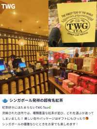 【かわいいものたくさん💐シンガポールでおすすめのお土産屋さん🇸🇬】
