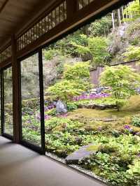 Spring Outing: Kochidani Amida-ji Temple