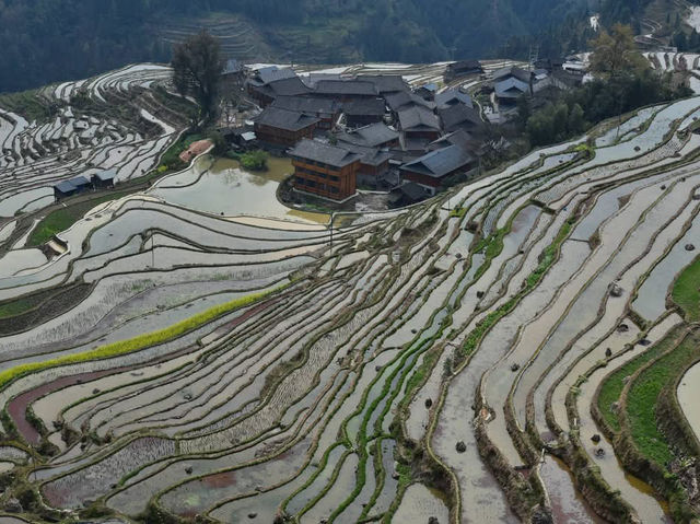 貴州加榜梯田旅遊攻略