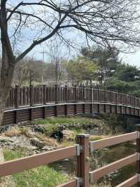 청주 자연 속 힐링 산책 코스, 명암 유원지🤍🍀