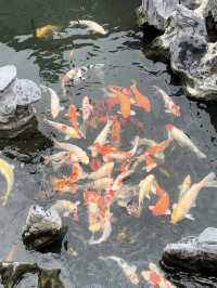 Lotus Pond (蓮池潭) Taiwan