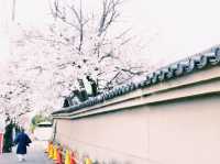 仁徳陵のそばに佇む静寂のお寺⛩️✨