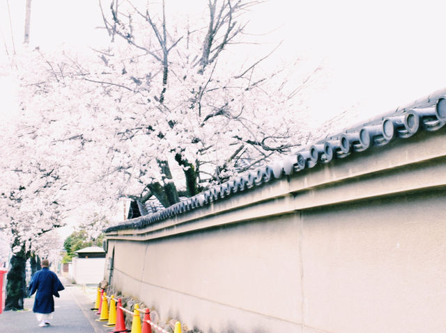 仁徳陵のそばに佇む静寂のお寺⛩️✨