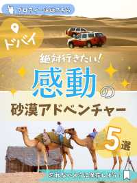 ＼ドバイの砂漠アクティビティ5選／