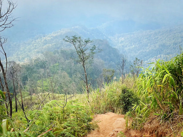 บทพิสูจน์ใจ ก่อนพบสวรรค์ลานสน 🌲