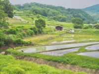 【奈良県】 日本の始まりの地　in明日香村