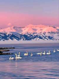Sayram Lake: A Tranquil Gem Beneath the Tianshan Mountains