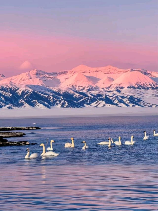 Sayram Lake: A Tranquil Gem Beneath the Tianshan Mountains