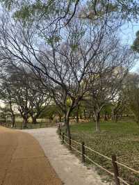 Gyeonju, a walk to the past