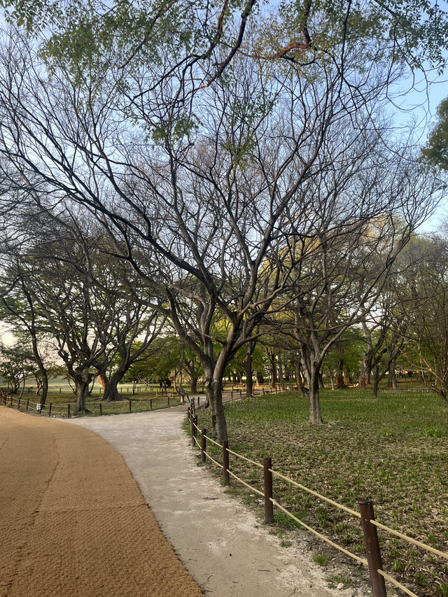 Gyeonju, a walk to the past