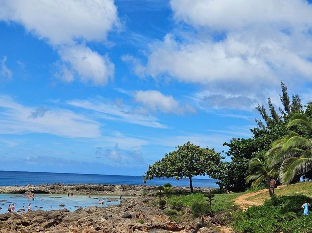 [🇺🇸オアフ島] ノースショアで楽しむ、波と自然のパラダイス