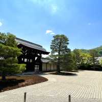 【京都】新緑に空の青さ、曹源池庭園 は素晴らしい
