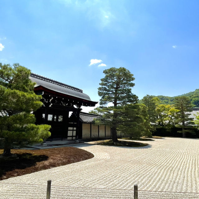 【京都】新緑に空の青さ、曹源池庭園 は素晴らしい