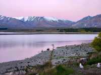 Golden Hour at Lake Tekapo: Reflections & Relaxation🌠