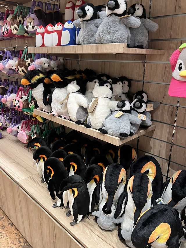 도심 속 낙원 싱가포르 동물원 🐒🐌