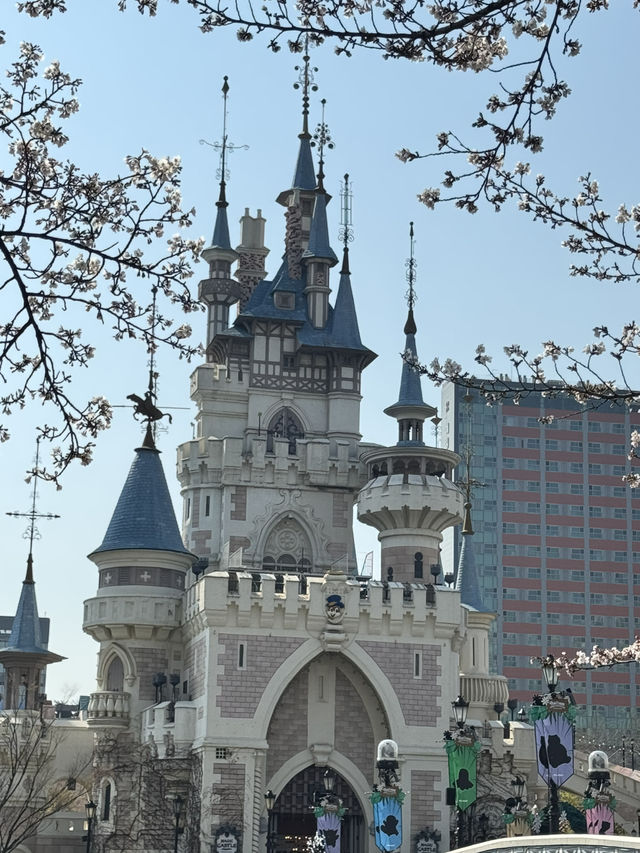Cherry Blossoms Guide for Lotte World