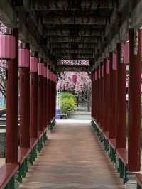 Baomo Garden: A Lingnan Masterpiece of History and Harmony