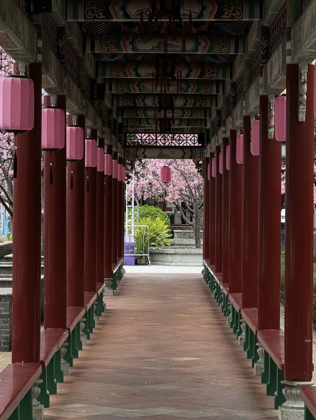 Baomo Garden: A Lingnan Masterpiece of History and Harmony