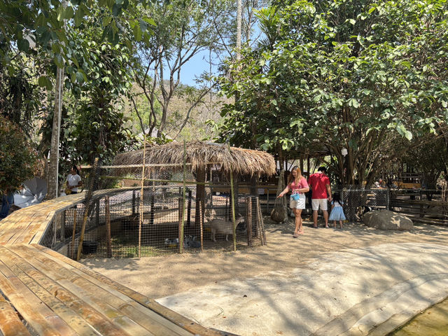 ฟาร์มวนา...คาเฟ่กลางหุบเขา⛰️🌳✨🌸