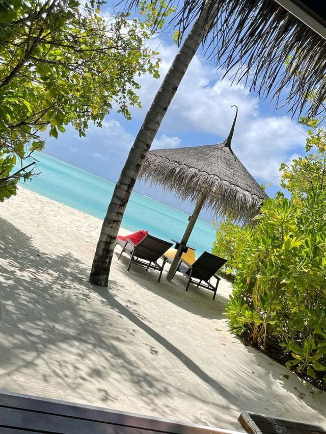 🌊 Paradise Found: The Stunning Maldives Islands!