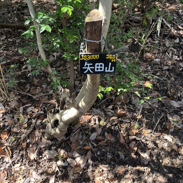 【矢田丘陵】🗻　矢田山・松尾山